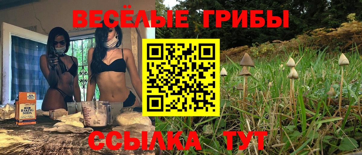 Псилоцибиновые грибы MAGIC MUSHROOMS Губкинский